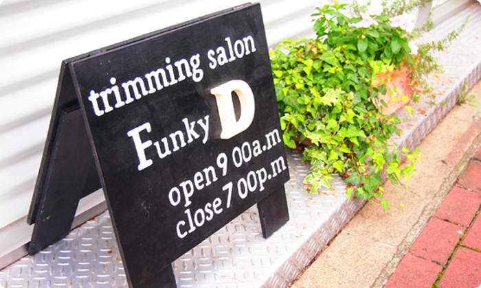 funkyd外観